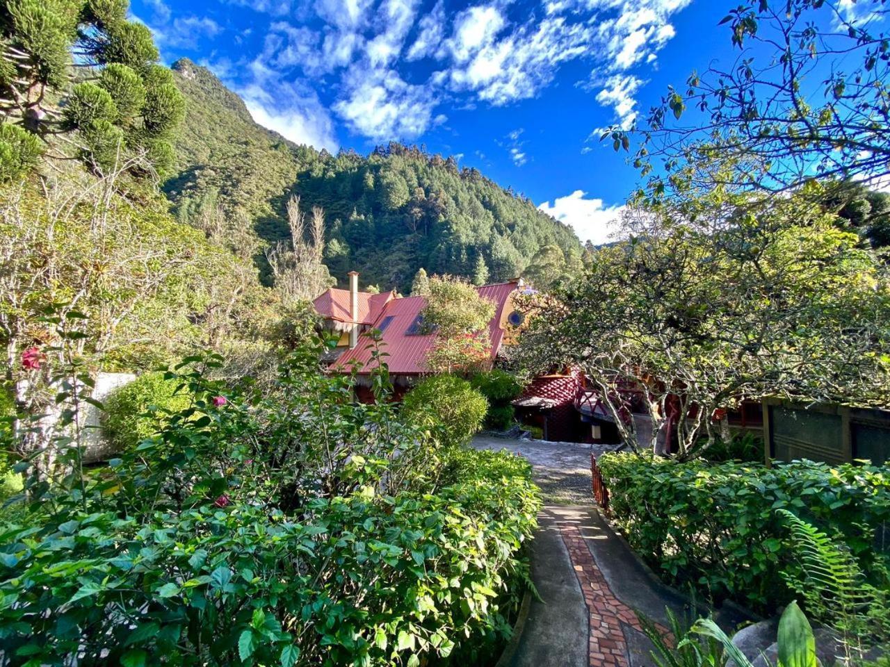 Finca Chamanapamba Guest House بانيوس المظهر الخارجي الصورة